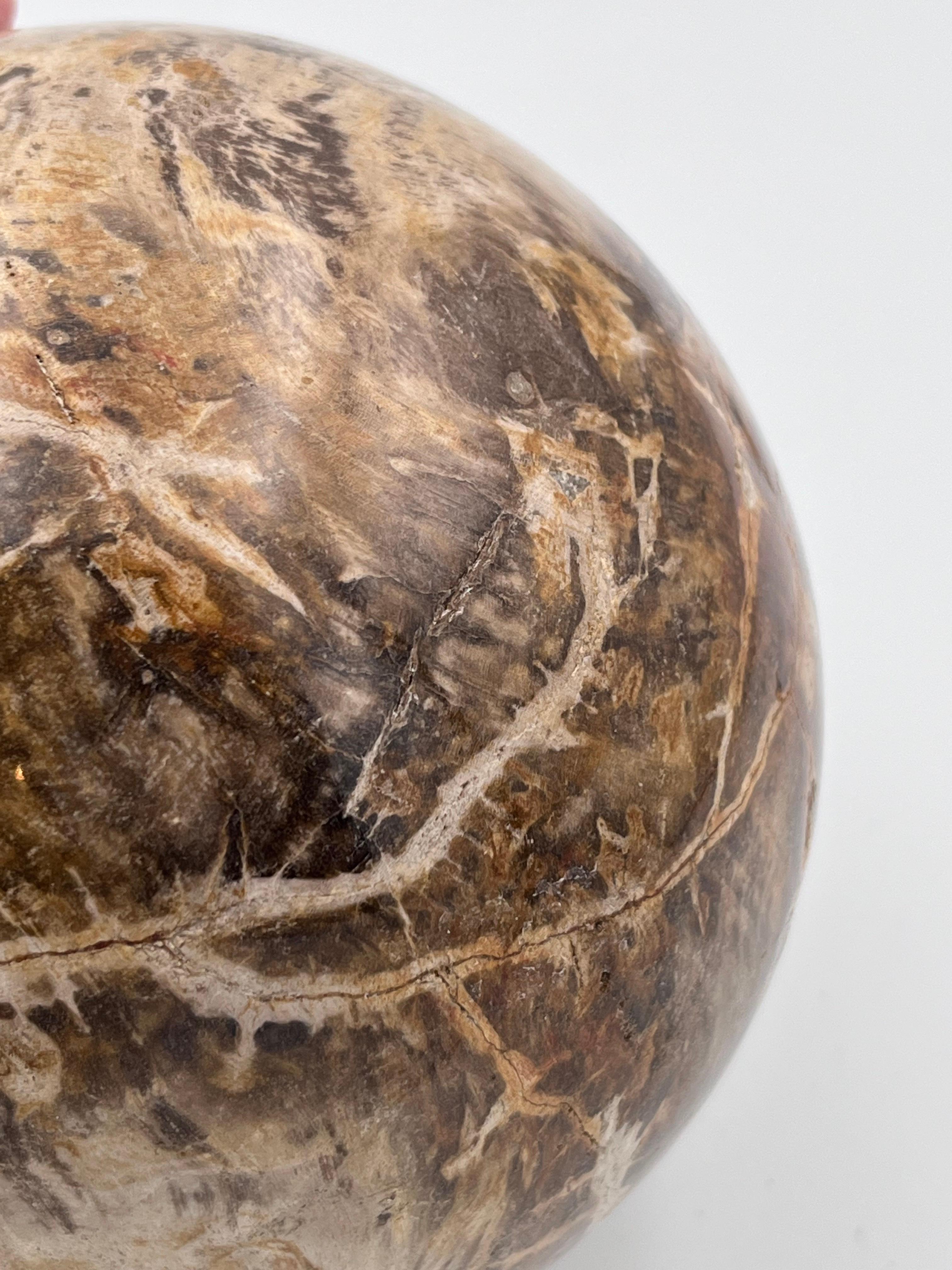 Substantial Polished Petrified Fossilized Wood 5.5