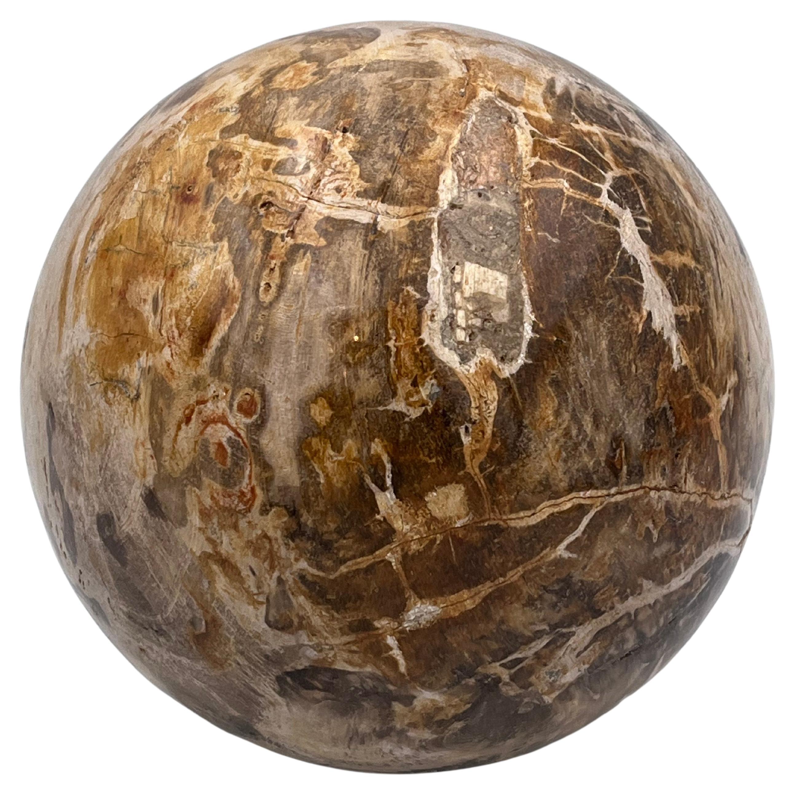 Substantial Polished Petrified Fossilized Wood 5.5" Decorative Sphere / Orb For Sale