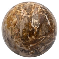 Substantial Polished Petrified Fossilized Wood 5.5" Decorative Sphere / Orb