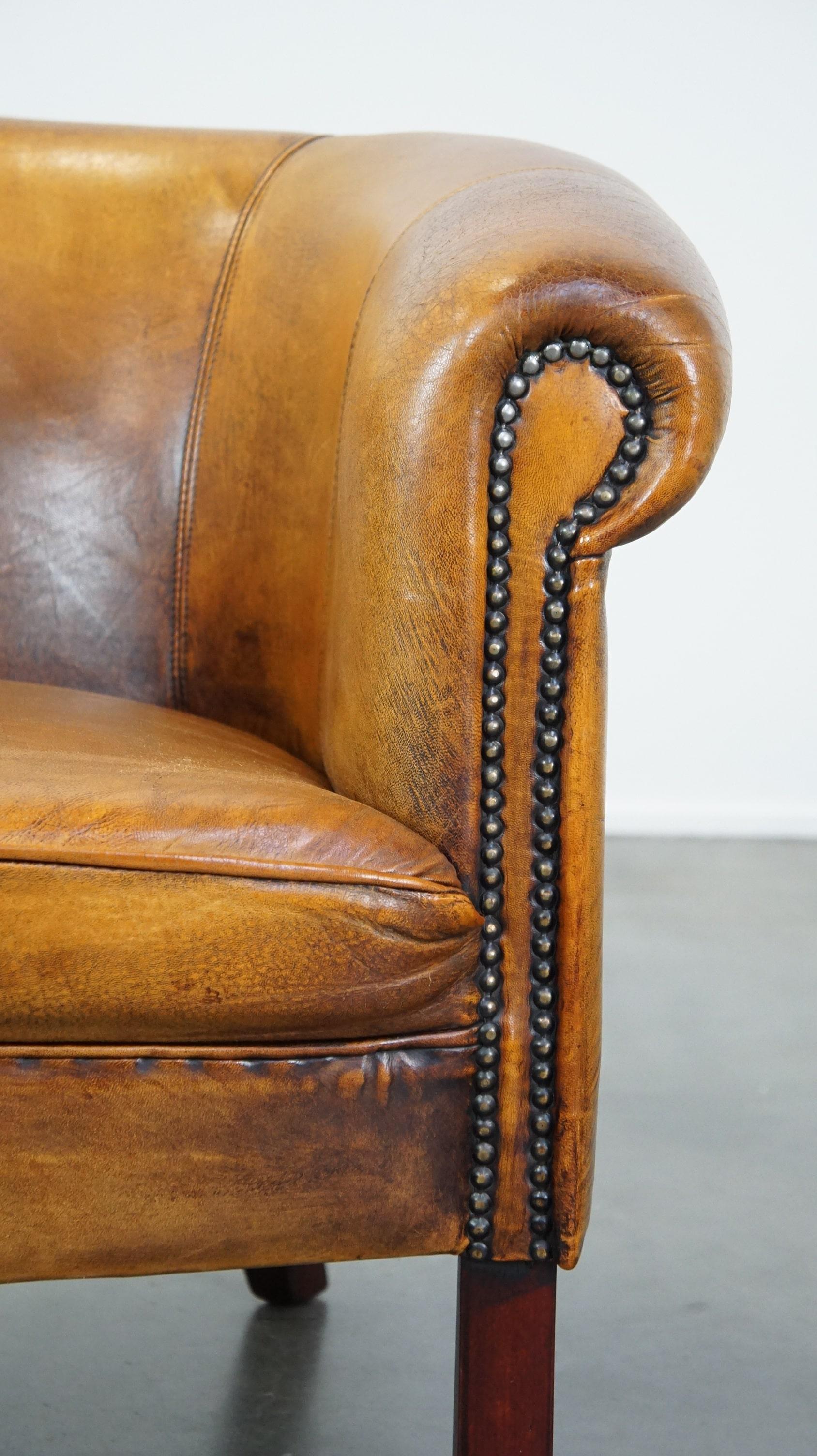 Sutil sillón club de piel de oveja acabado con tachuelas decorativas y bellos colores en venta 5