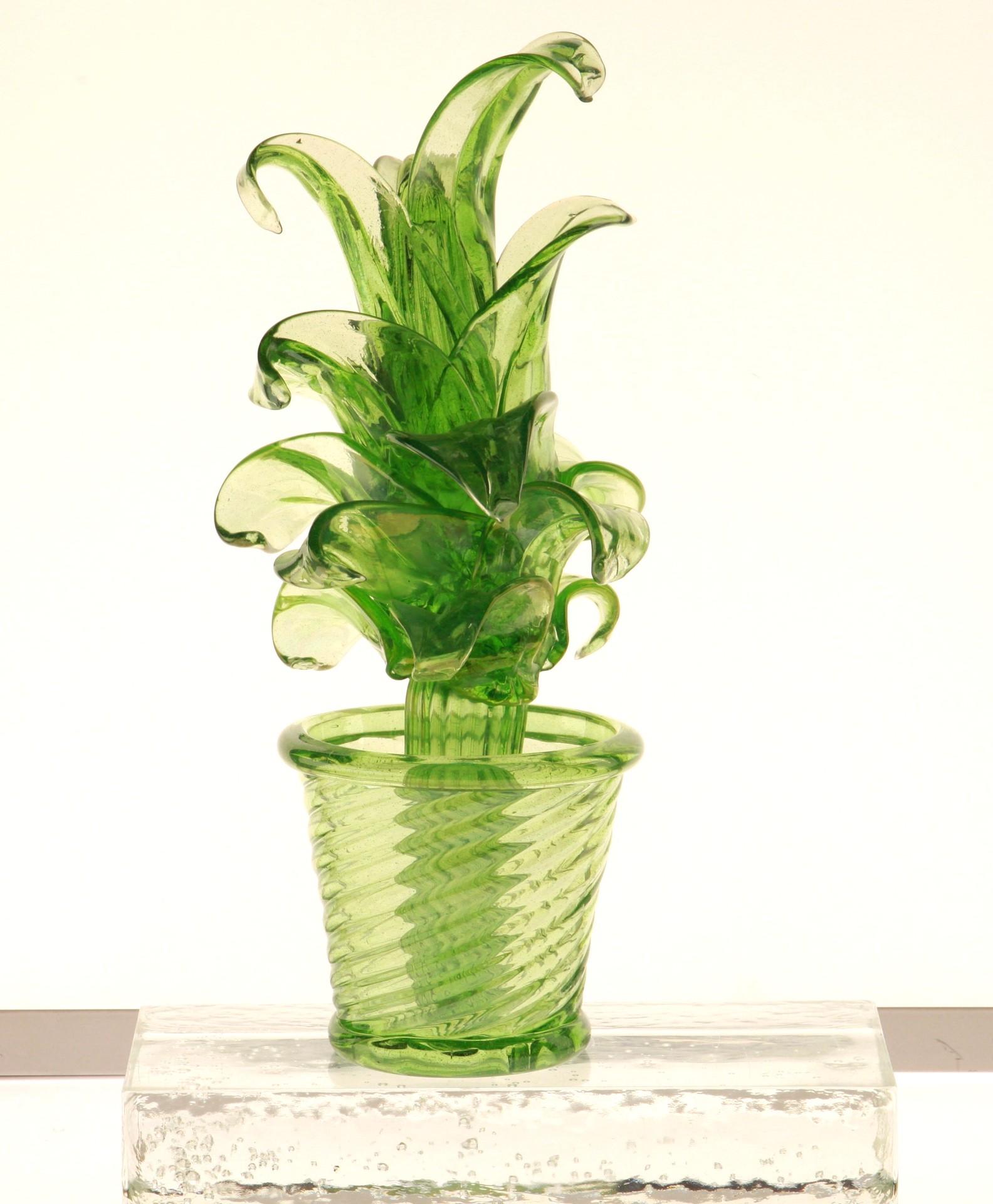 Succulent Cactus, Green Murano Puligoso Glass in the Style of Martinuzzi 7