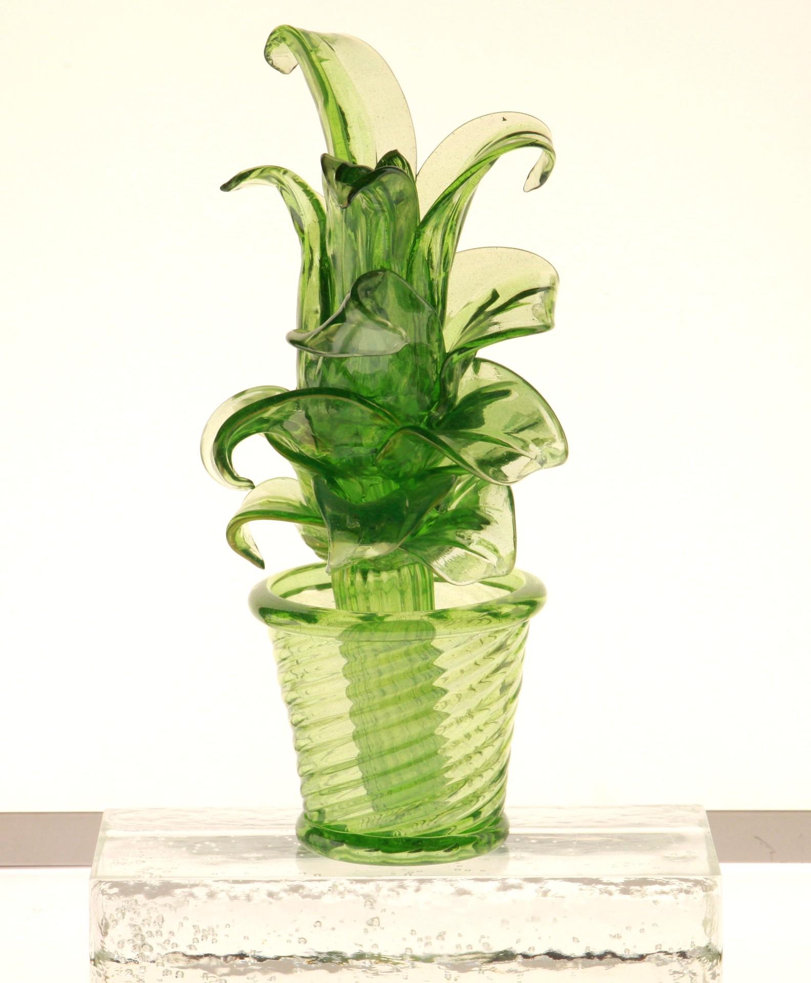 20th Century Succulent Cactus, Green Murano Puligoso Glass in the Style of Martinuzzi