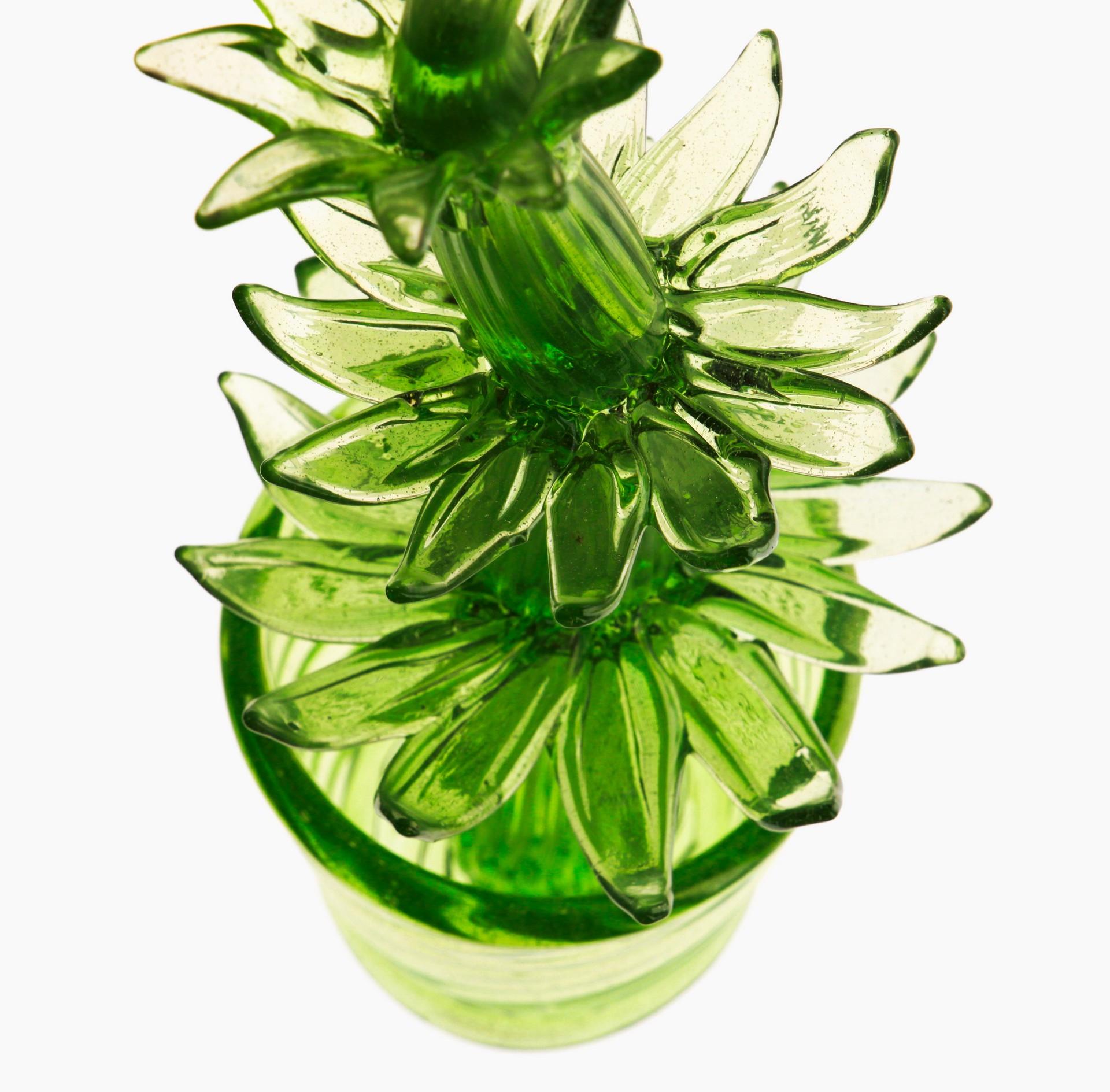 Succulent Cactus, Green Murano Puligoso Glass in the Style of Martinuzzi Zecchin 8