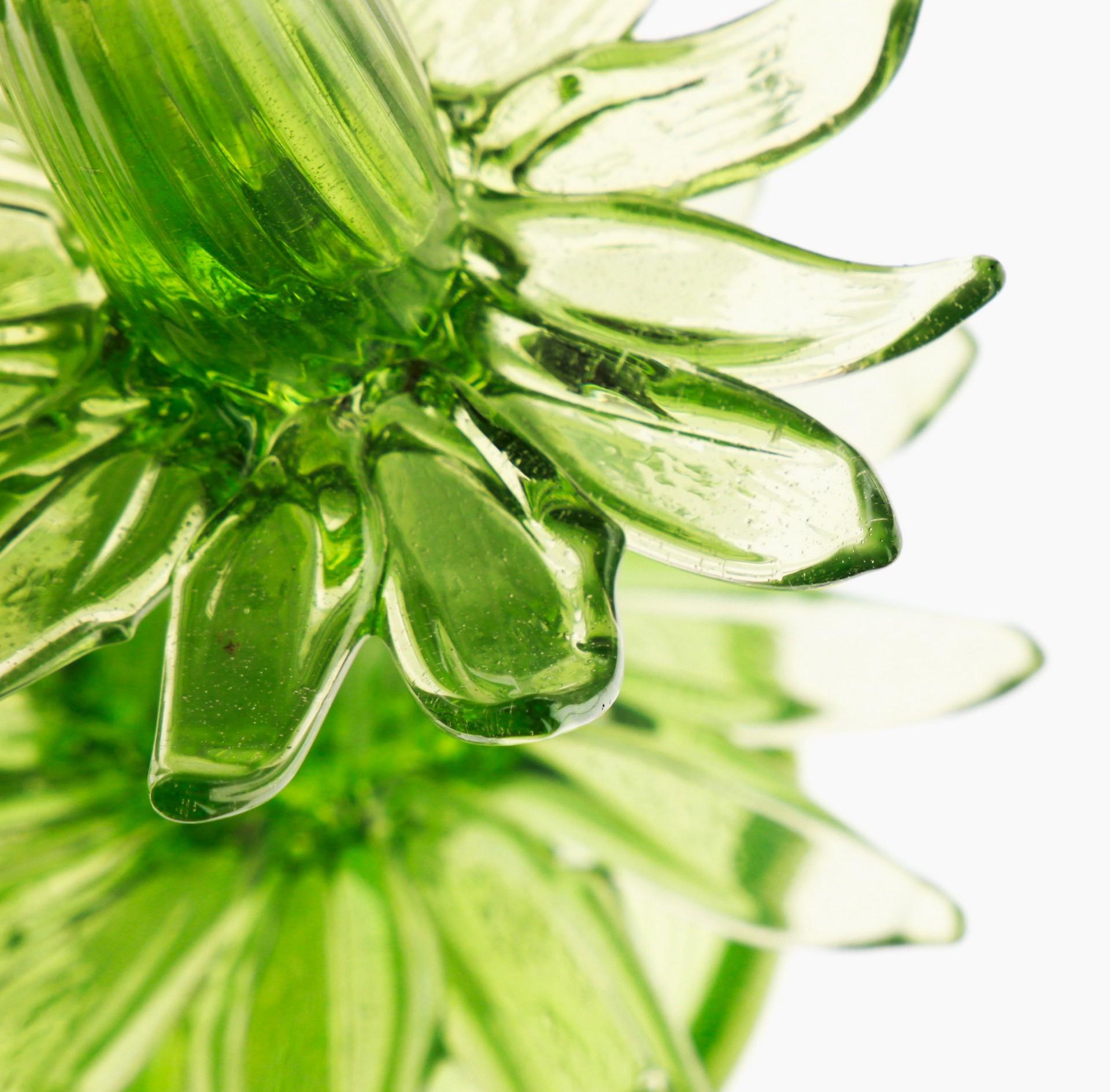 Succulent Cactus, Green Murano Puligoso Glass in the Style of Martinuzzi Zecchin 11