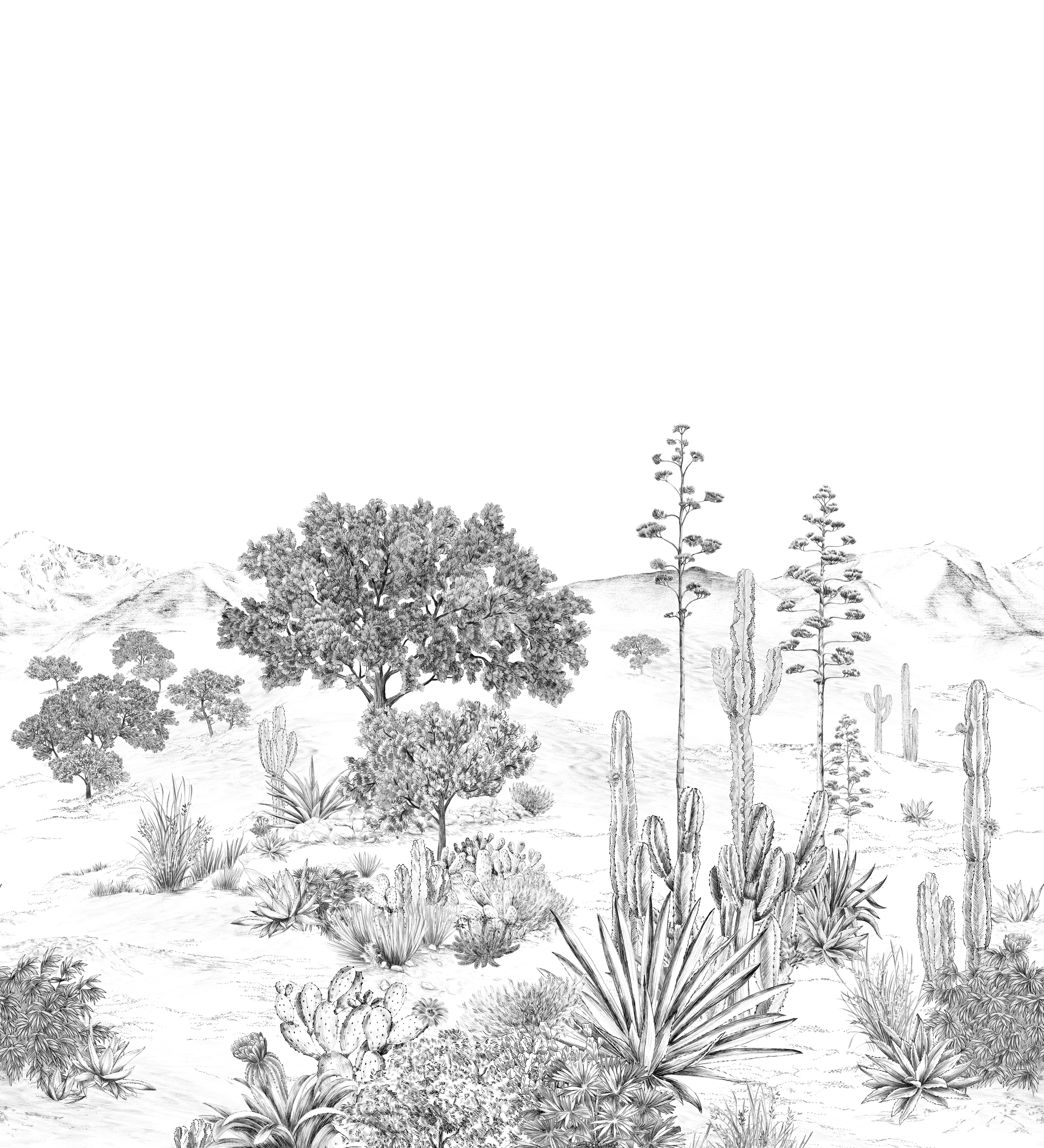 Succulente, anpassbar, Digitaldruck, Wanddekor, Isidore Leroy (Französisch) im Angebot
