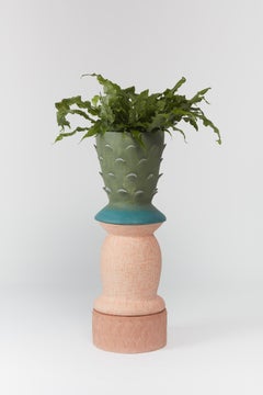Eco-Friendly Terracotta Succulent Pot Planter by Rosa Cortiella
