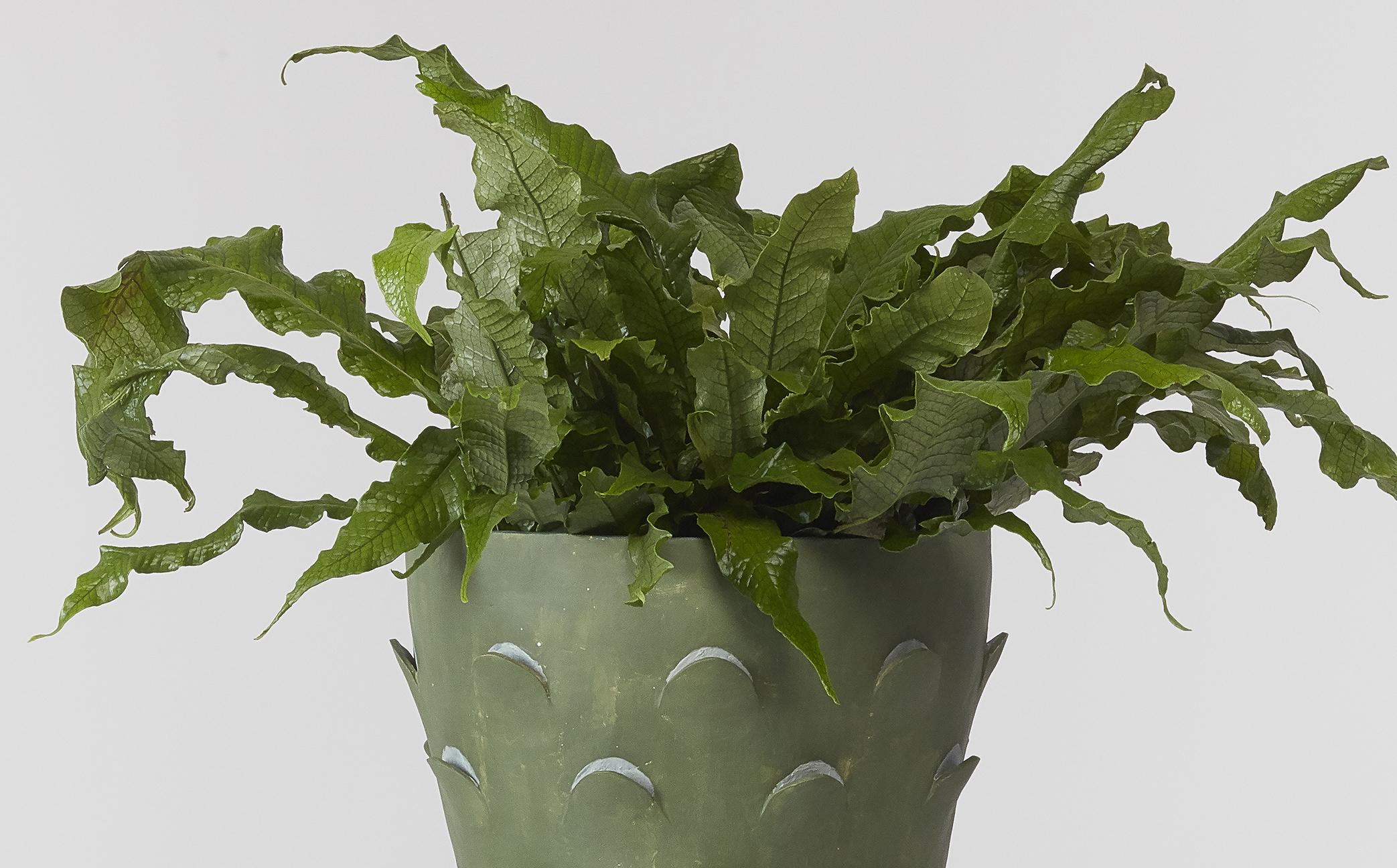 XXIe siècle et contemporain Succulent_Planter_New Contemporary Grogged Clay by Rosa Cortiella en vente