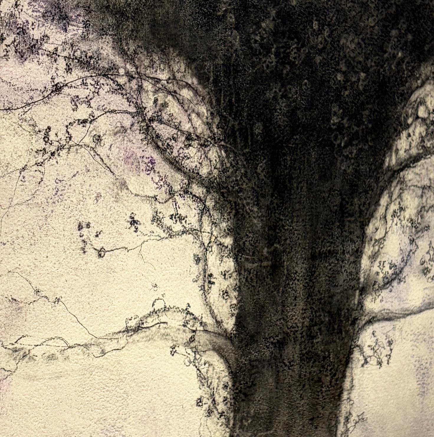 Arborescent (Expressionist Charcoal Tree Landscape Painting on Paper on Canvas) - Brown Landscape Art by Sue Bryan