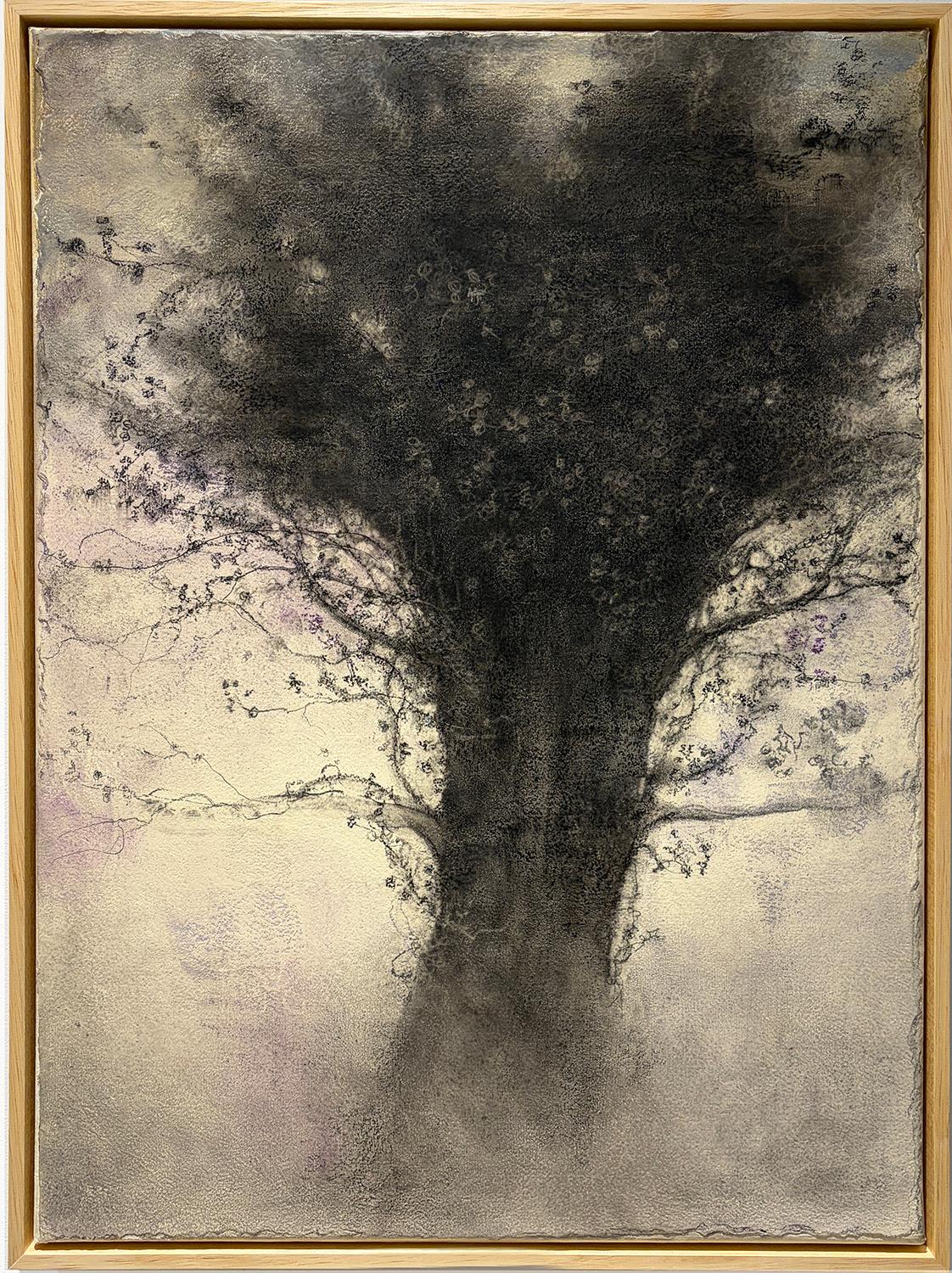 Romantic, tonalist style charcoal drawing of a tree in isolation
by Sue Bryan
