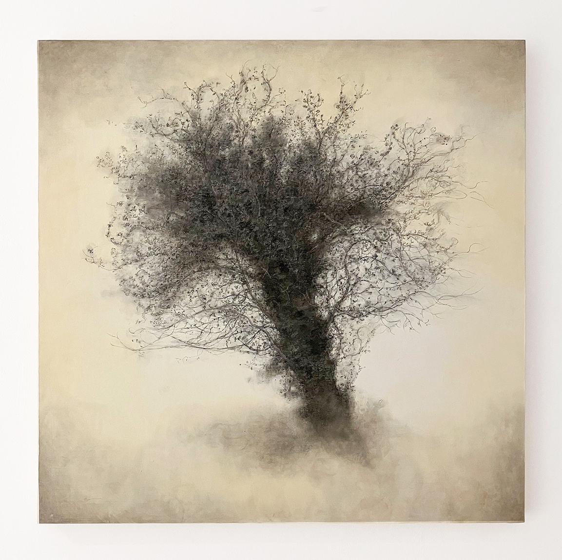 Froth (Detailed Charcoal Tree Landscape on Panel by Sue Bryan) For Sale 1