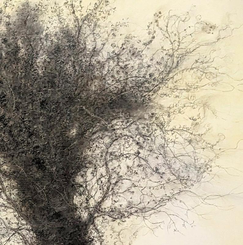 Froth (Detailed Charcoal Tree Landscape on Panel by Sue Bryan) For Sale 2