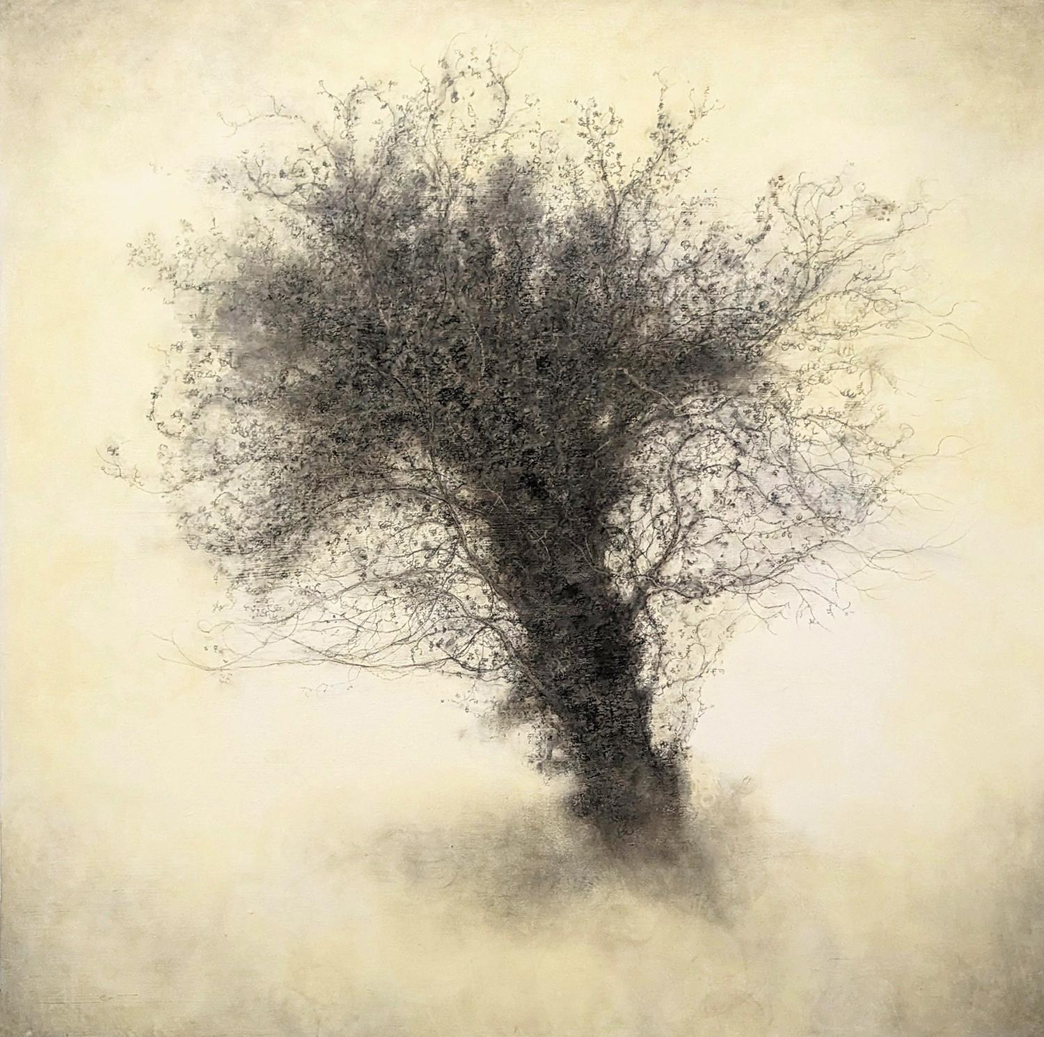 Romantic, tonalist style charcoal drawing of a tree in isolation
by Sue Bryan

acrylic and charcoal on Arches on wood
36 x 36 x 1.5 inches
Hangs flush to the wall
Signed on verso

In contrast with her more traditional landscape images, "Froth"