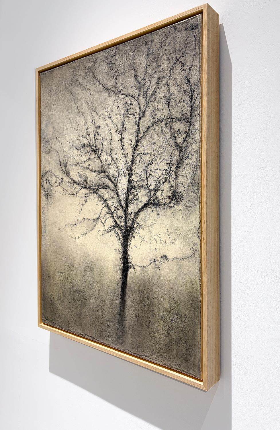 Offshoot (Expressionist Charcoal Tree Landscape Painting on Paper on Canvas) For Sale 1