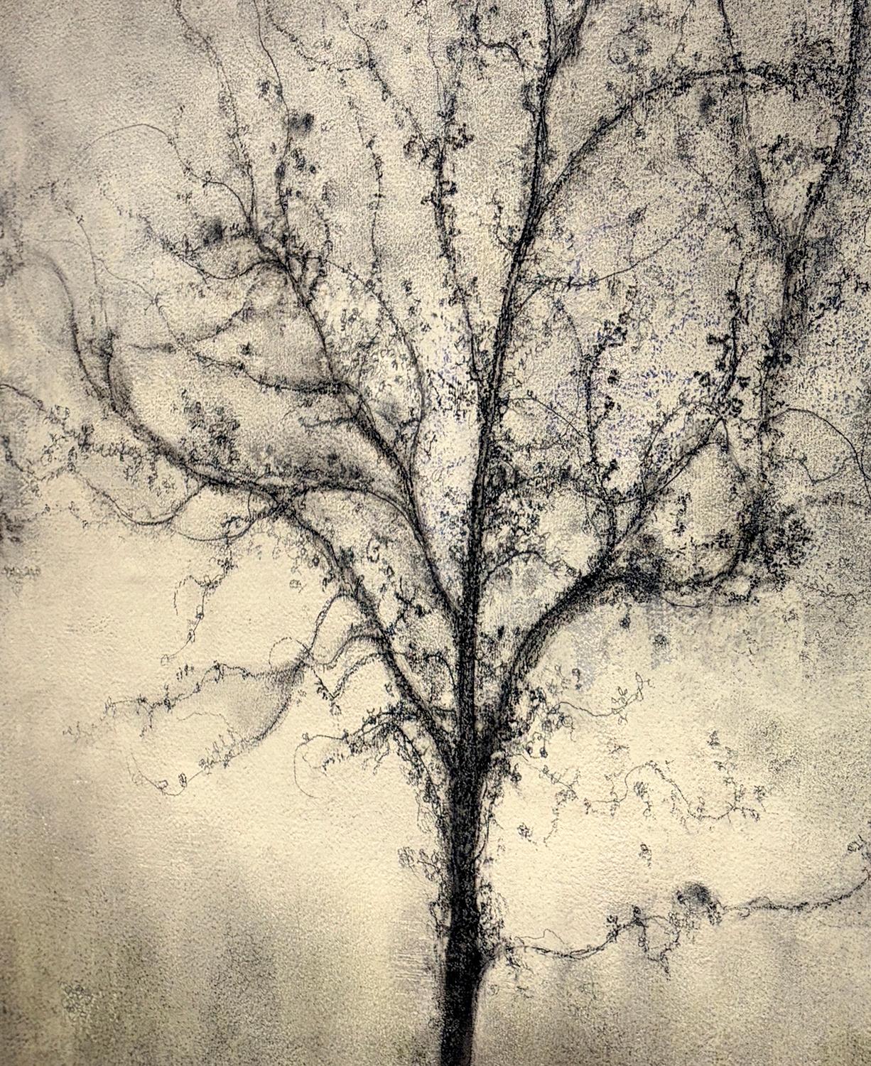 Offshoot (Expressionist Charcoal Tree Landscape Painting on Paper on Canvas) For Sale 2