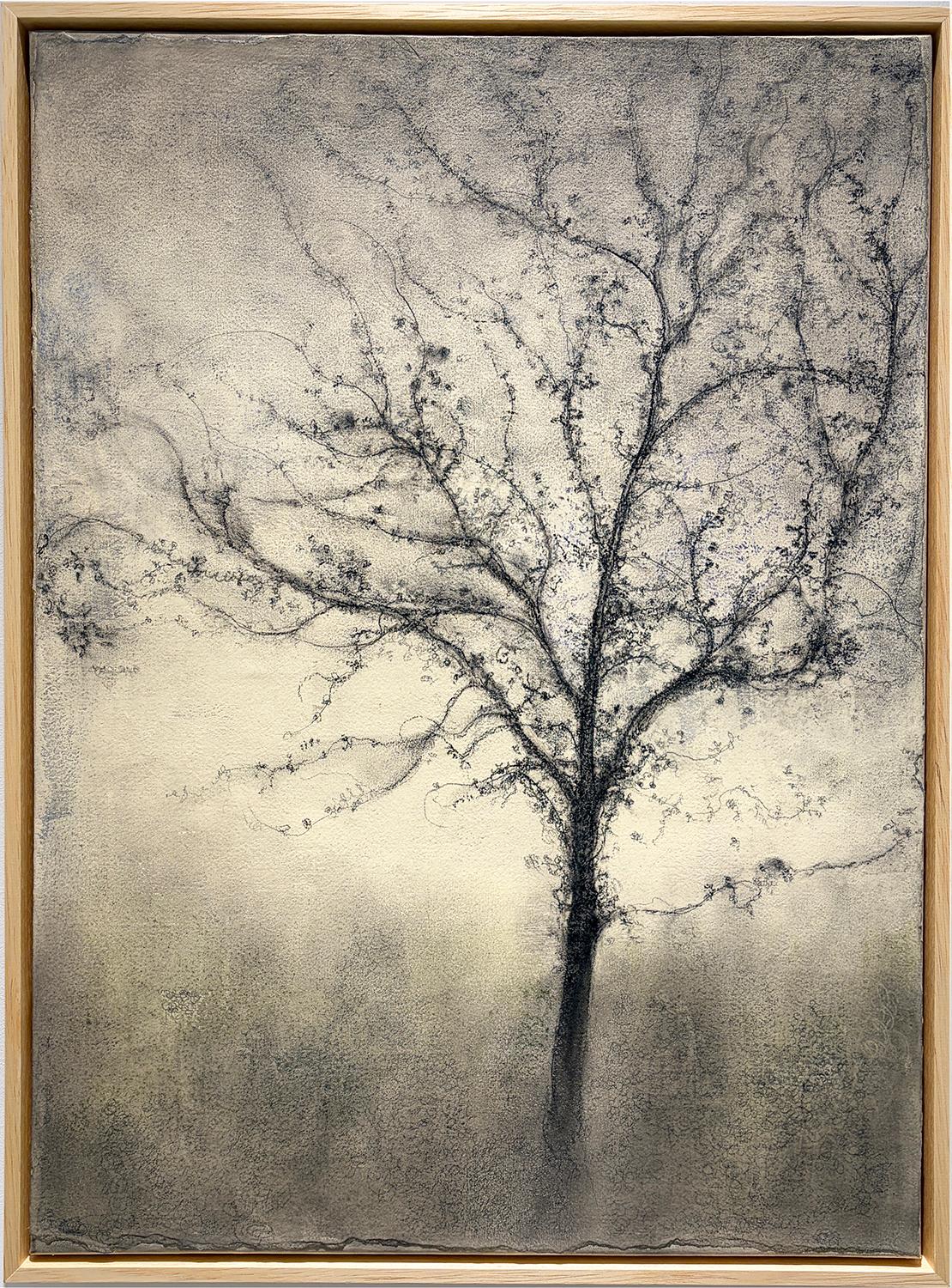 Offshoot (Expressionist Charcoal Tree Landscape Painting on Paper on Canvas) For Sale 4