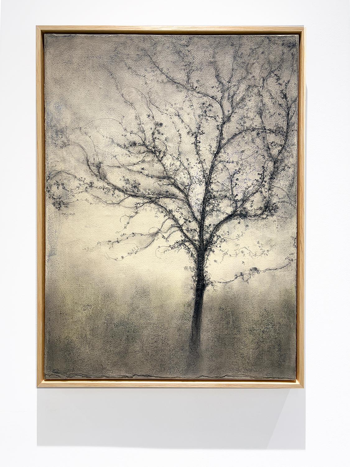 Offshoot (Expressionist Charcoal Tree Landscape Painting on Paper on Canvas) For Sale 5