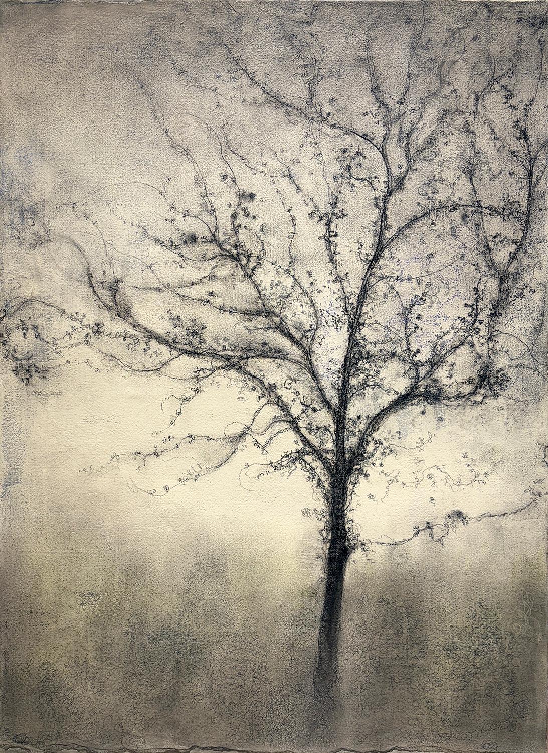 Offshoot (Expressionist Charcoal Tree Landscape Painting on Paper on Canvas)