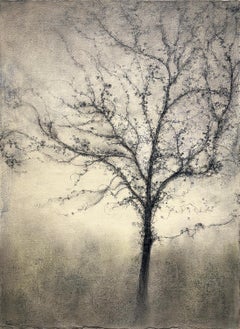 Offshoot (Expressionist Charcoal Tree Landscape Painting on Paper on Canvas)