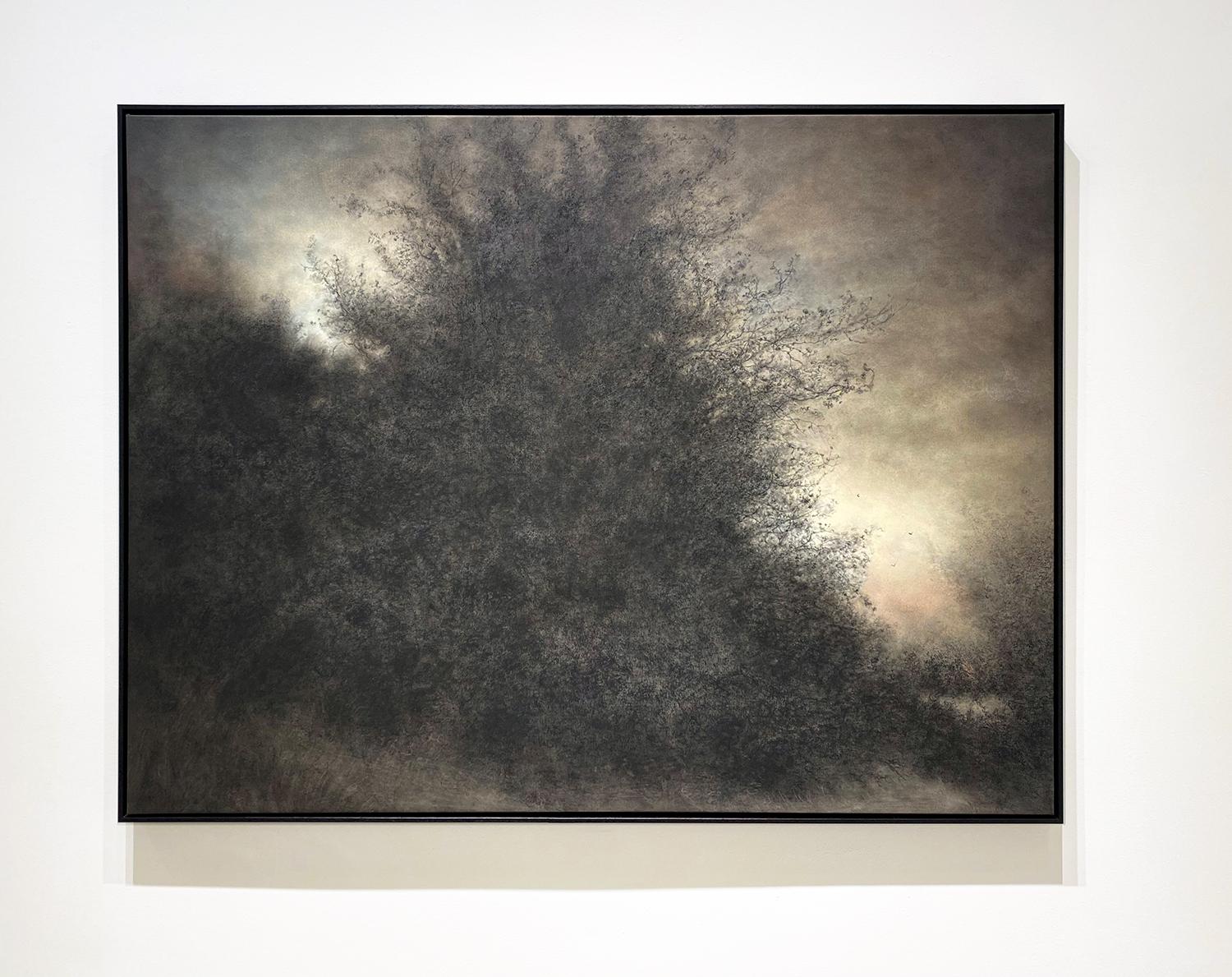 Some Twilight Land (peinture au fusain d'un paysage de campagne, de forêt et de ciel) - Painting de Sue Bryan