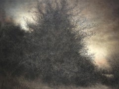 Una terra al crepuscolo (pittura di paesaggio a carboncino con foresta e cielo)