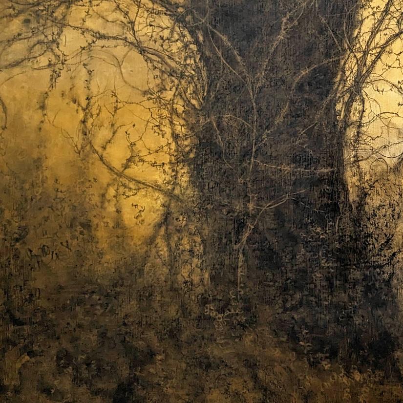 The Golden Hour (Sun-Washed Landscape Charcoal Drawing of Trees in Forest) - Contemporary Painting by Sue Bryan