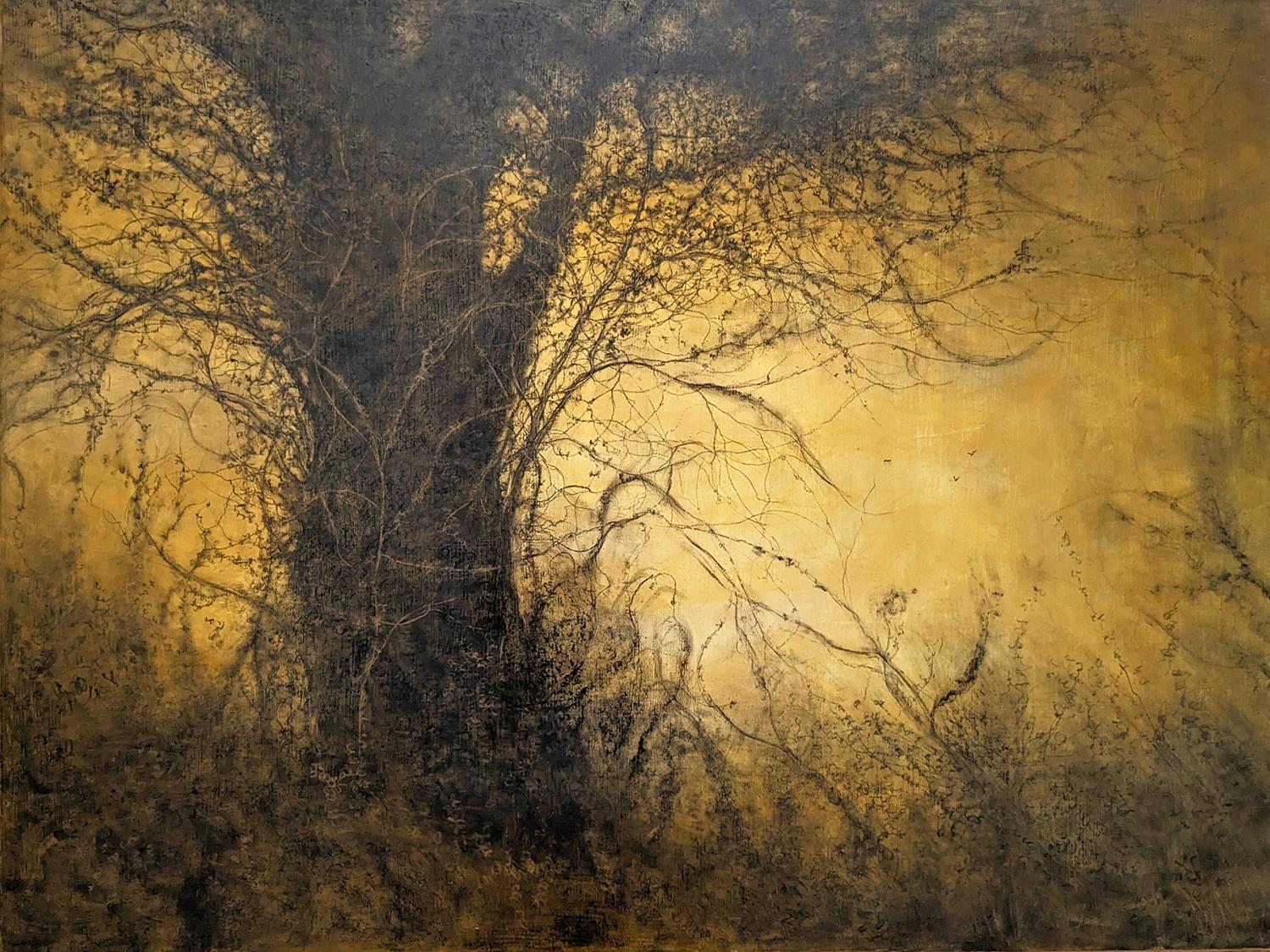 The Golden Hour (Sun-Washed Landscape Charcoal Drawing of Trees in Forest)
