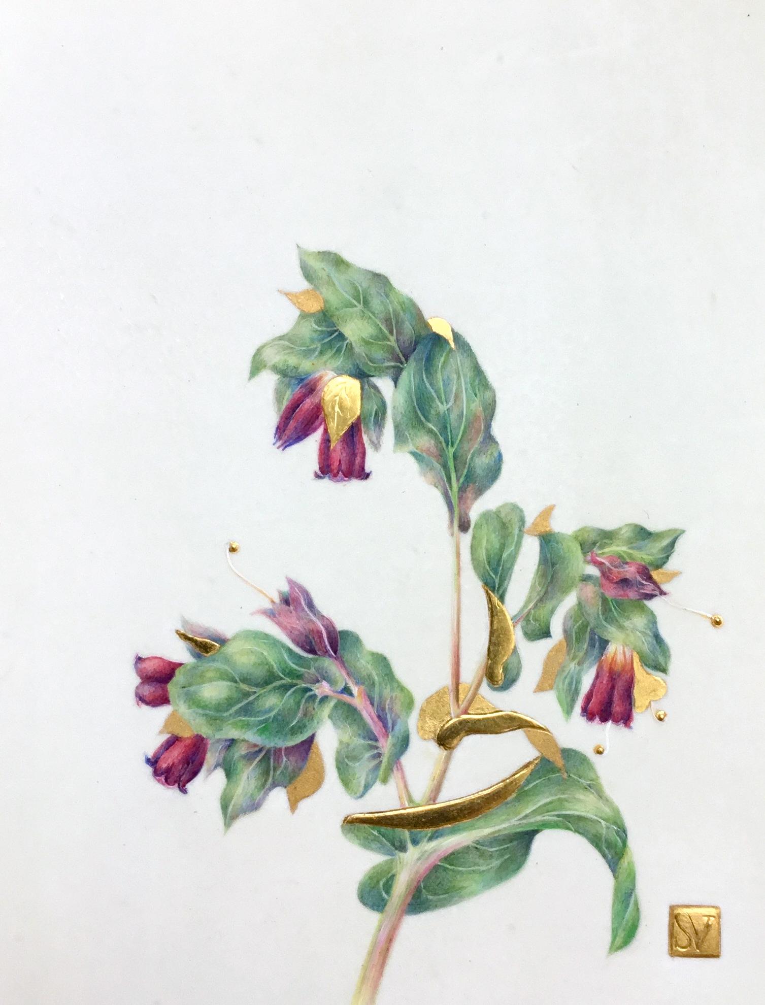 Cerinthe - Painting by Sue Viner