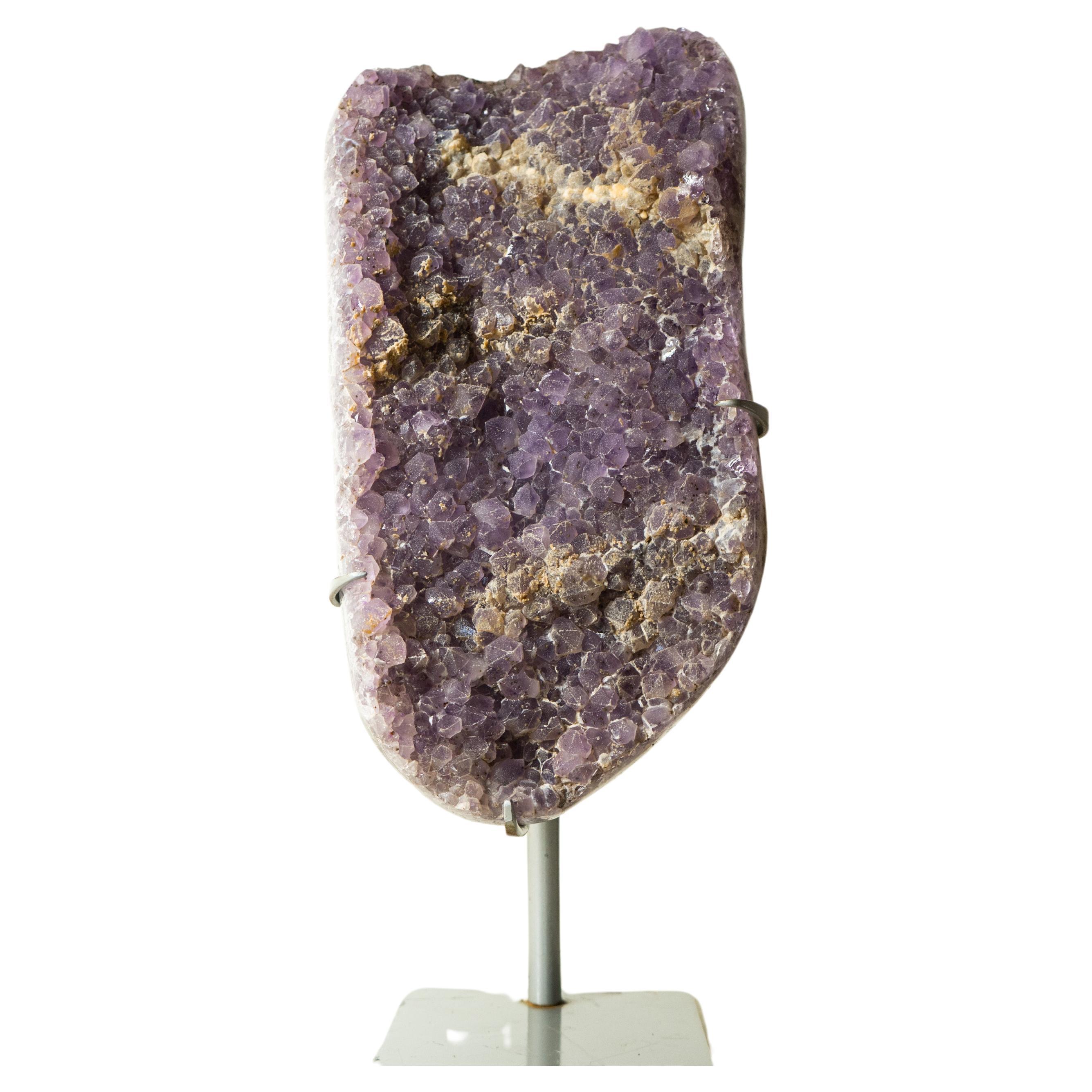 Racimo de amatista galaxia recubierta de azúcar con rara drusa amatista lavanda en venta