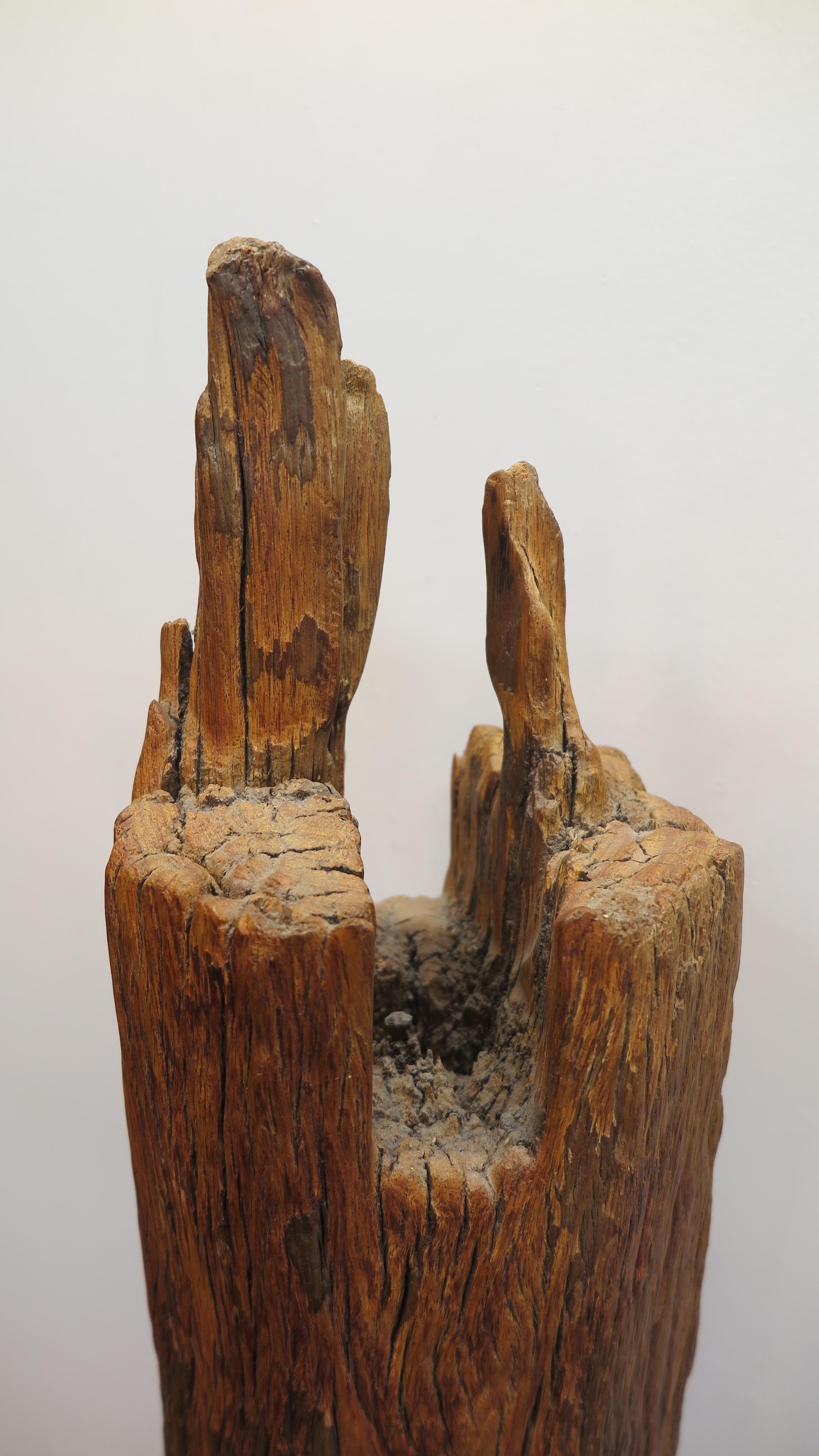 Sugarcane Cog Sculpture In Good Condition For Sale In New York, NY