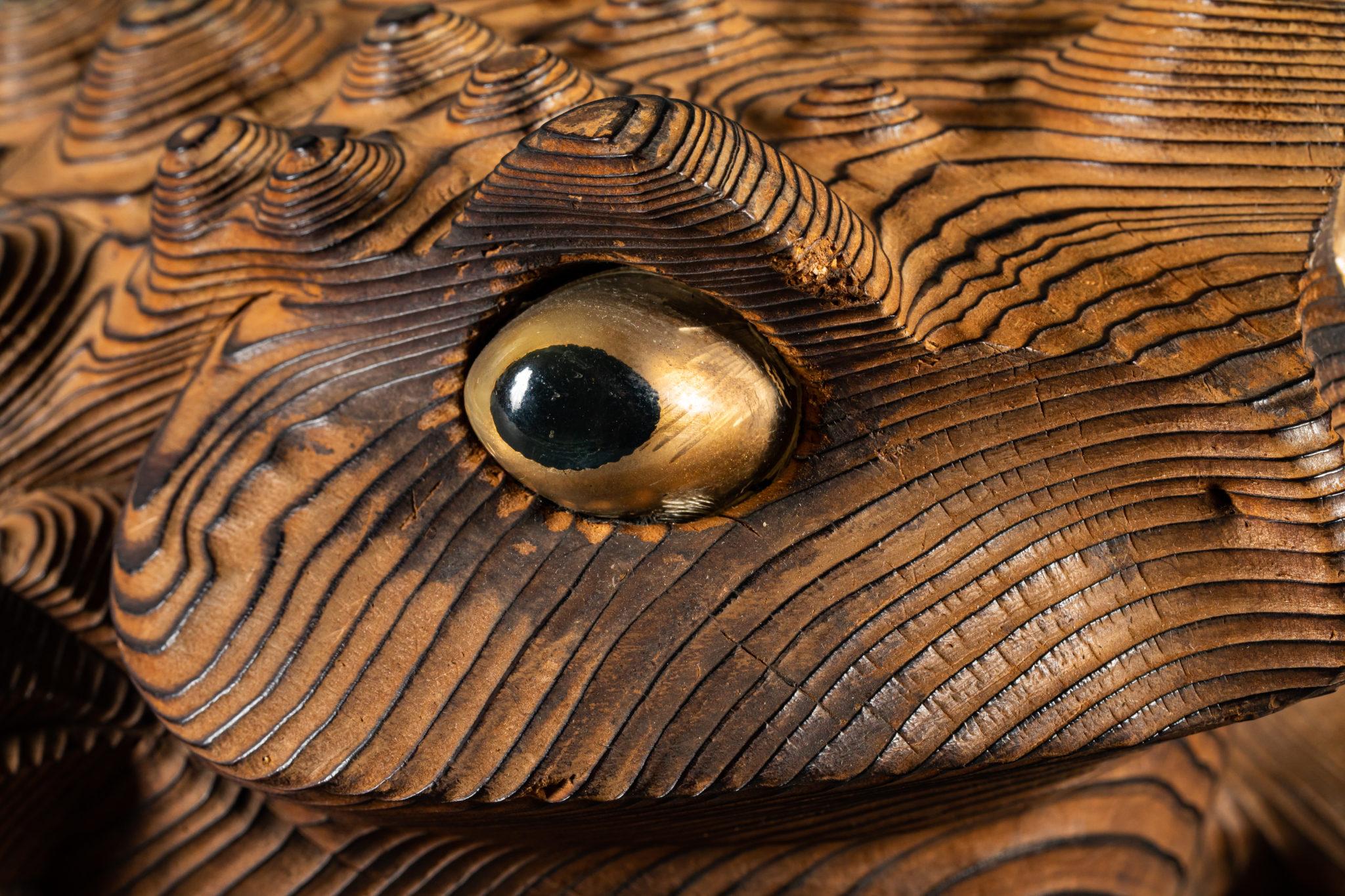 Sugi-Wood (Cedar) Frog 2