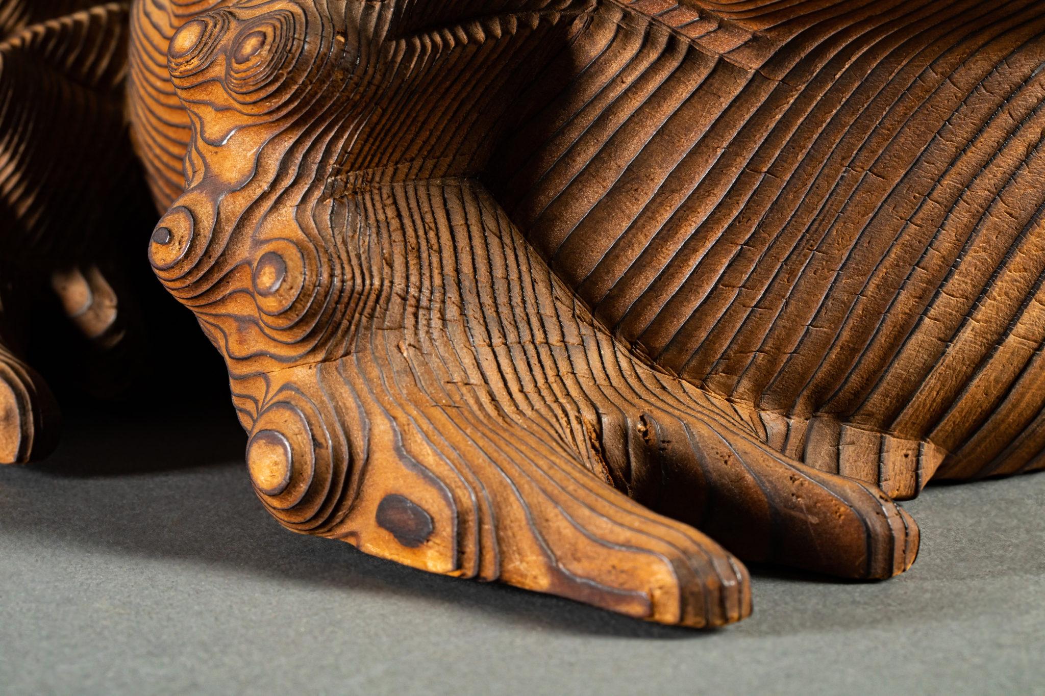 Sugi-Wood (Cedar) Frog 4