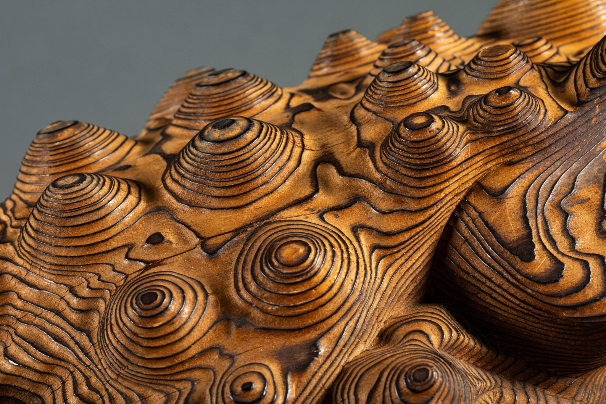 Sugi-Wood (Cedar) Frog 6