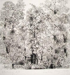 Vintage Landscape, A/P Etching on Paper, Black & White by Artist Suhas Roy "In Stock"