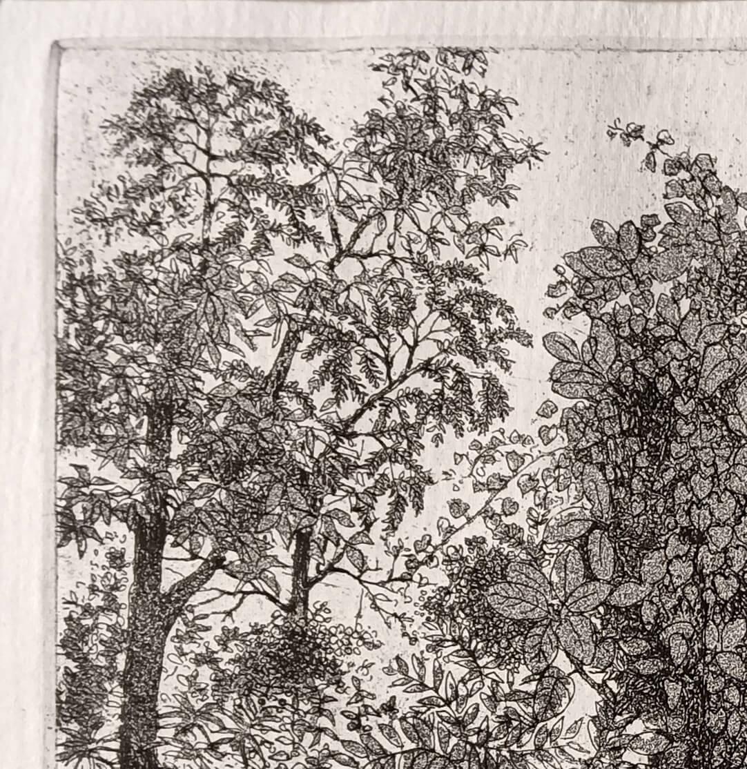 Landscape, Etching on Paper by Indian Modern Artist Suhas Roy 
