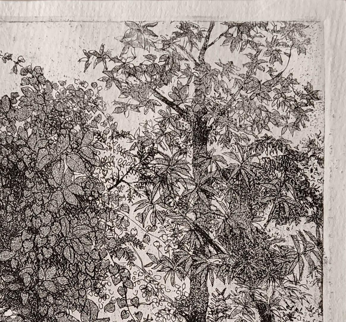 Landscape, Etching on Paper by Indian Modern Artist Suhas Roy 