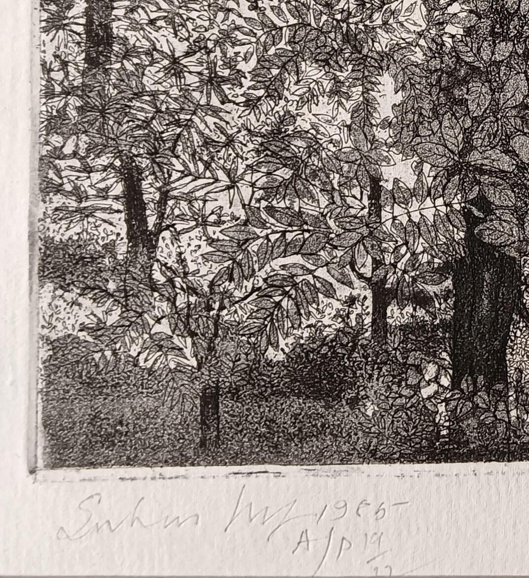 Landscape, Etching on Paper by Indian Modern Artist Suhas Roy 