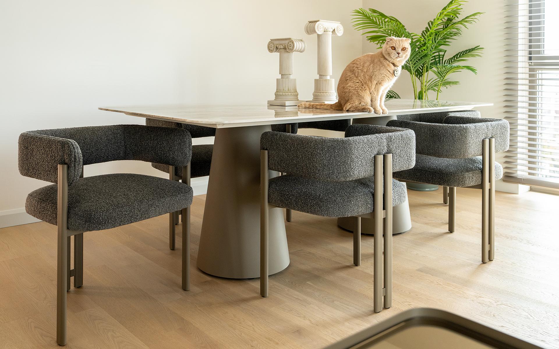 Sui Dining Chair With Static Painted Metal Leg For Sale 2