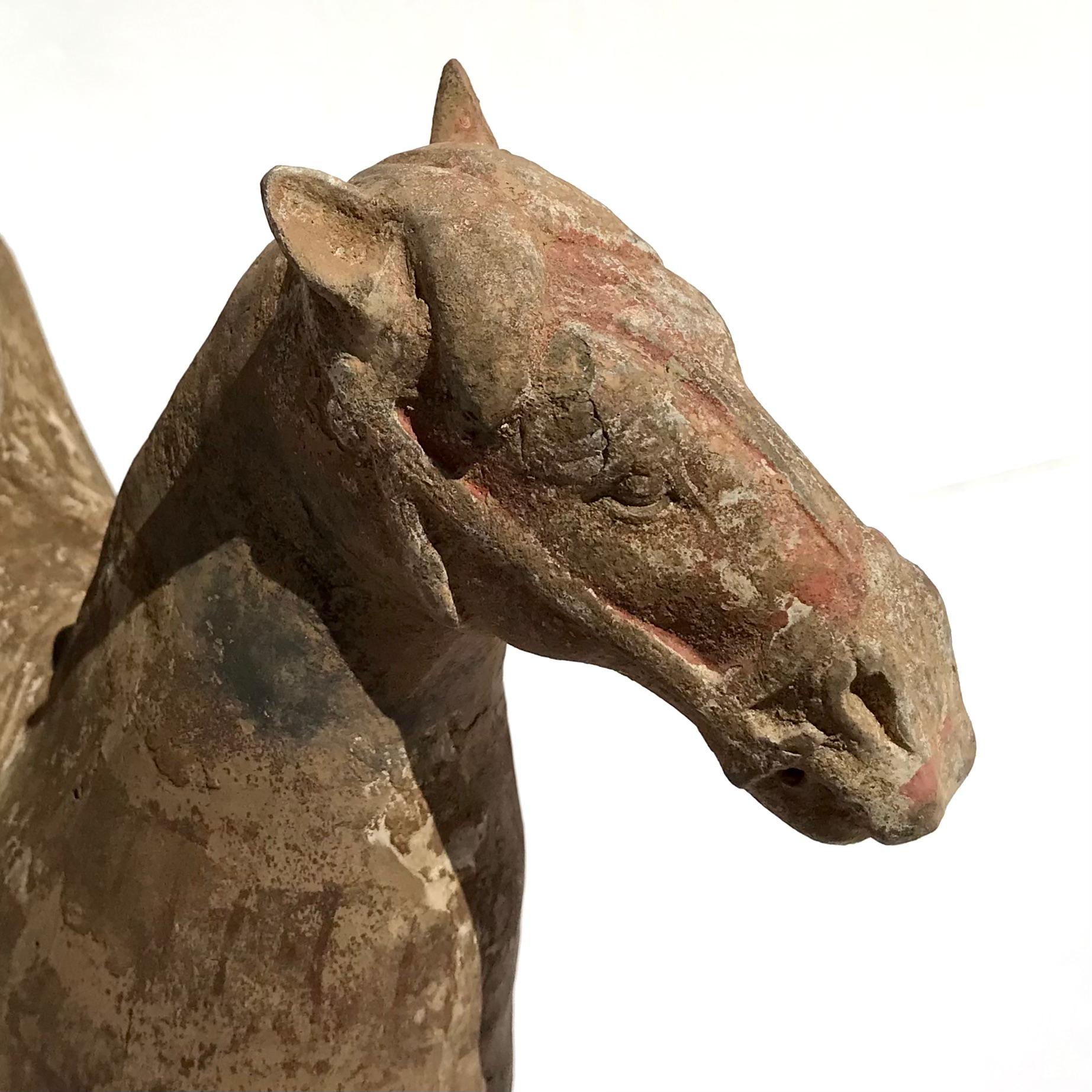 18th Century and Earlier Sui or Tang Dynasty Painted Pottery Armored Horse And Rider For Sale