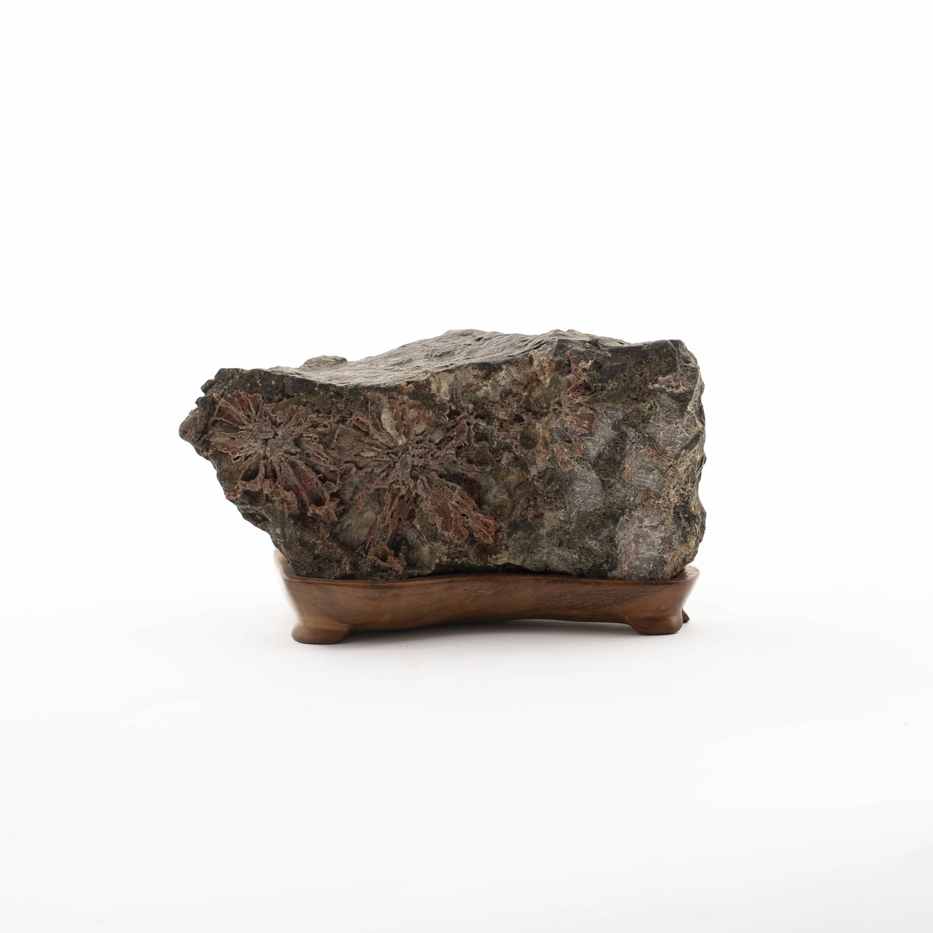 Suiseki-Bergstein auf einem Sockel aus Holz, Japan im Zustand „Gut“ im Angebot in Kastrup, DK