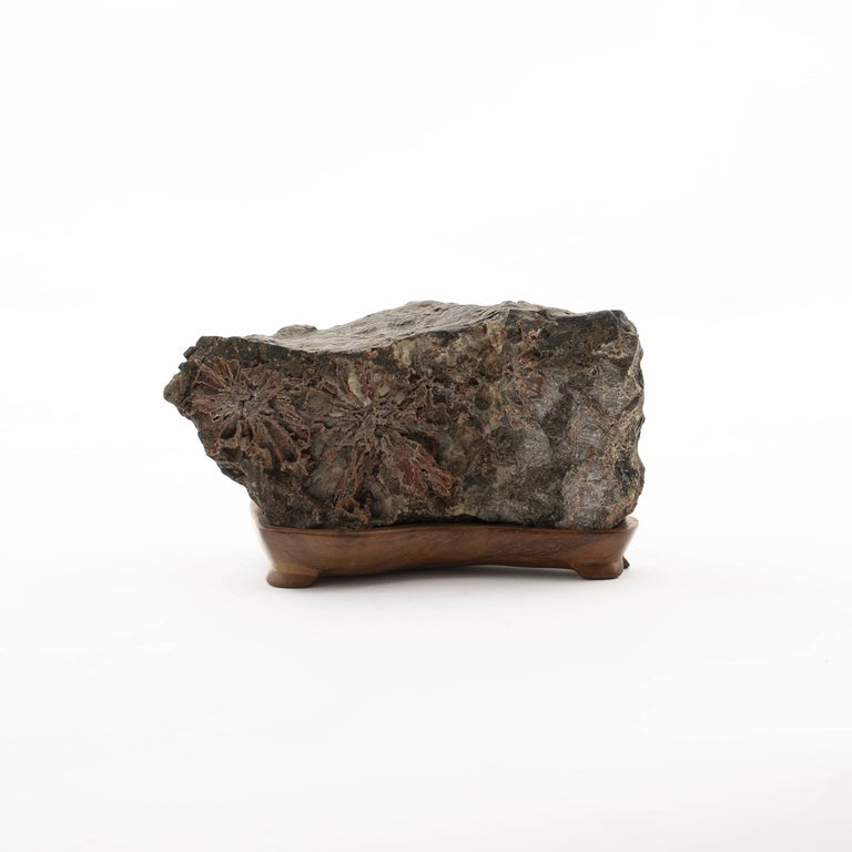 Suiseki Rocks Suiseki Rock-Stone on a Base of Wood, Japan For Sale at 1stDibs