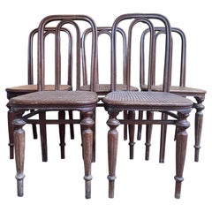 Suite de 5 chaises Thonet numéro 41