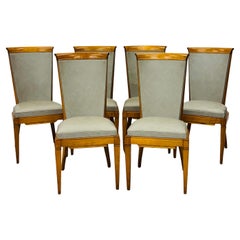 Suite di sei sedie francesi, legno e sky  -  Midcentury