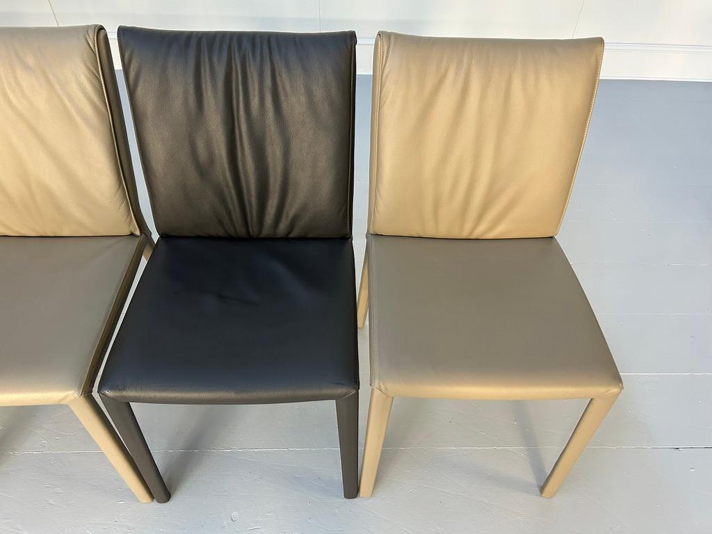 Suite of 10 Cattelan Italia 