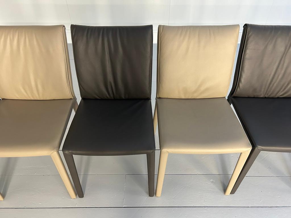 Suite of 10 Cattelan Italia 