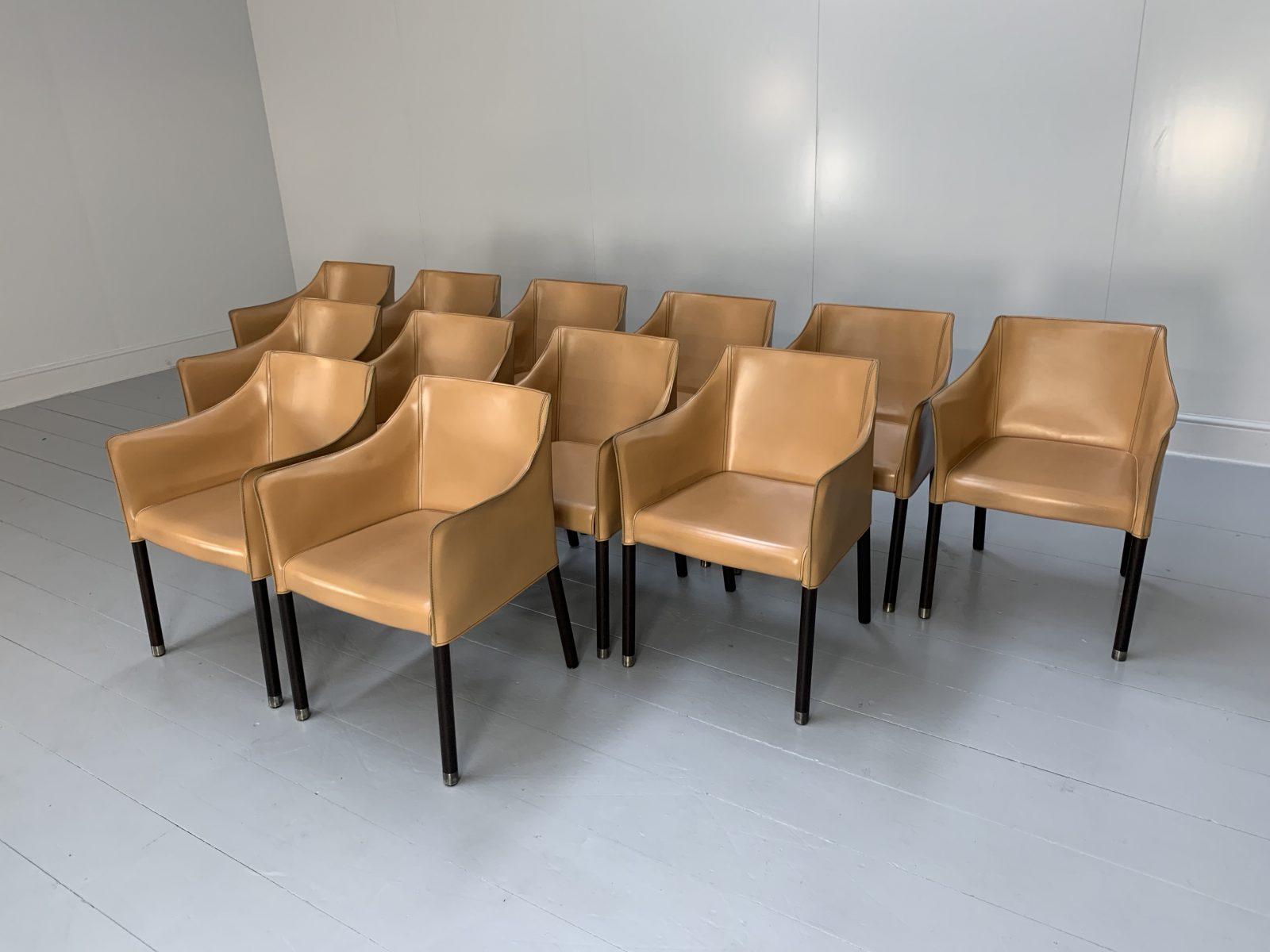 Contemporary Suite of 12 Cappellini “Cap” Dining Armchairs in Saddle Leather
