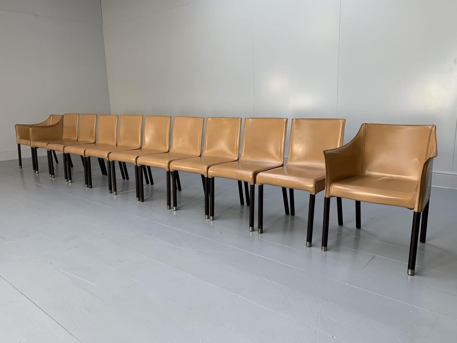 Contemporary Suite of 12 Cappellini “CAP” Dining Armchairs in Saddle Leather For Sale