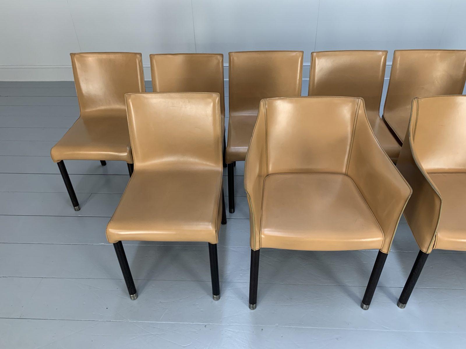 Suite of 12 Cappellini “CAP” Dining Armchairs in Saddle Leather For Sale 1