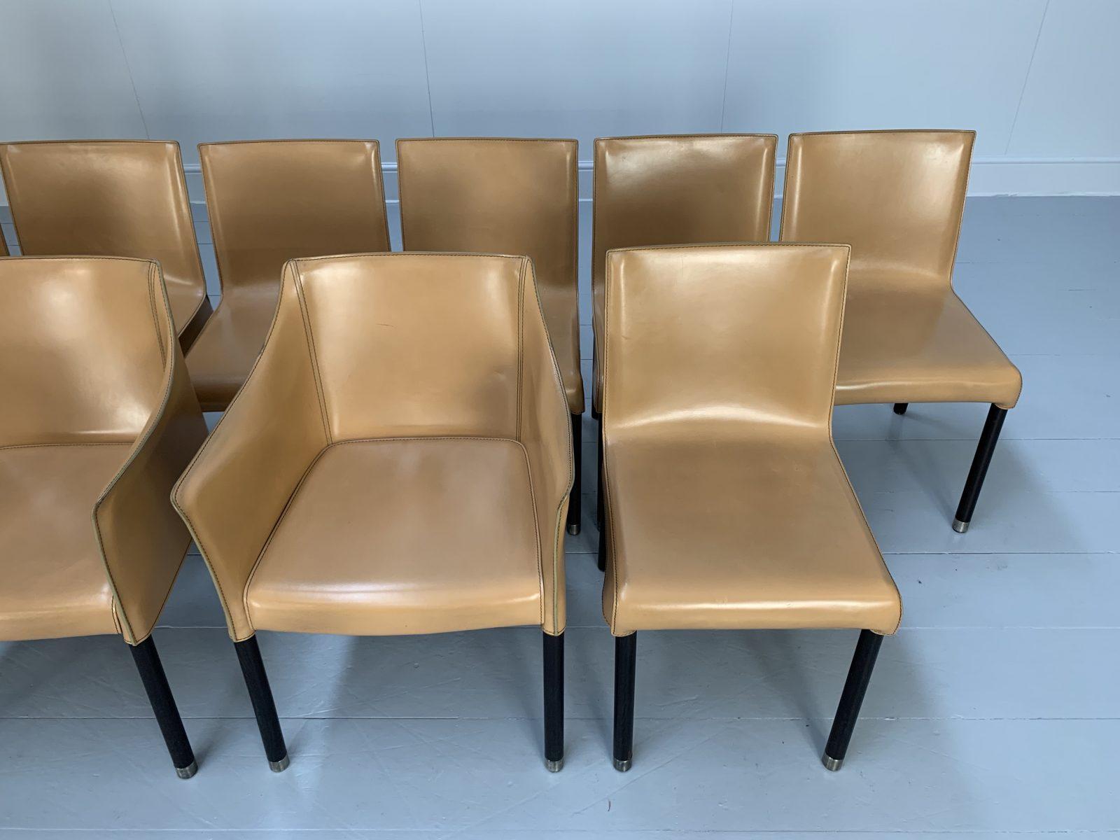 Suite of 12 Cappellini “CAP” Dining Armchairs in Saddle Leather For Sale 2