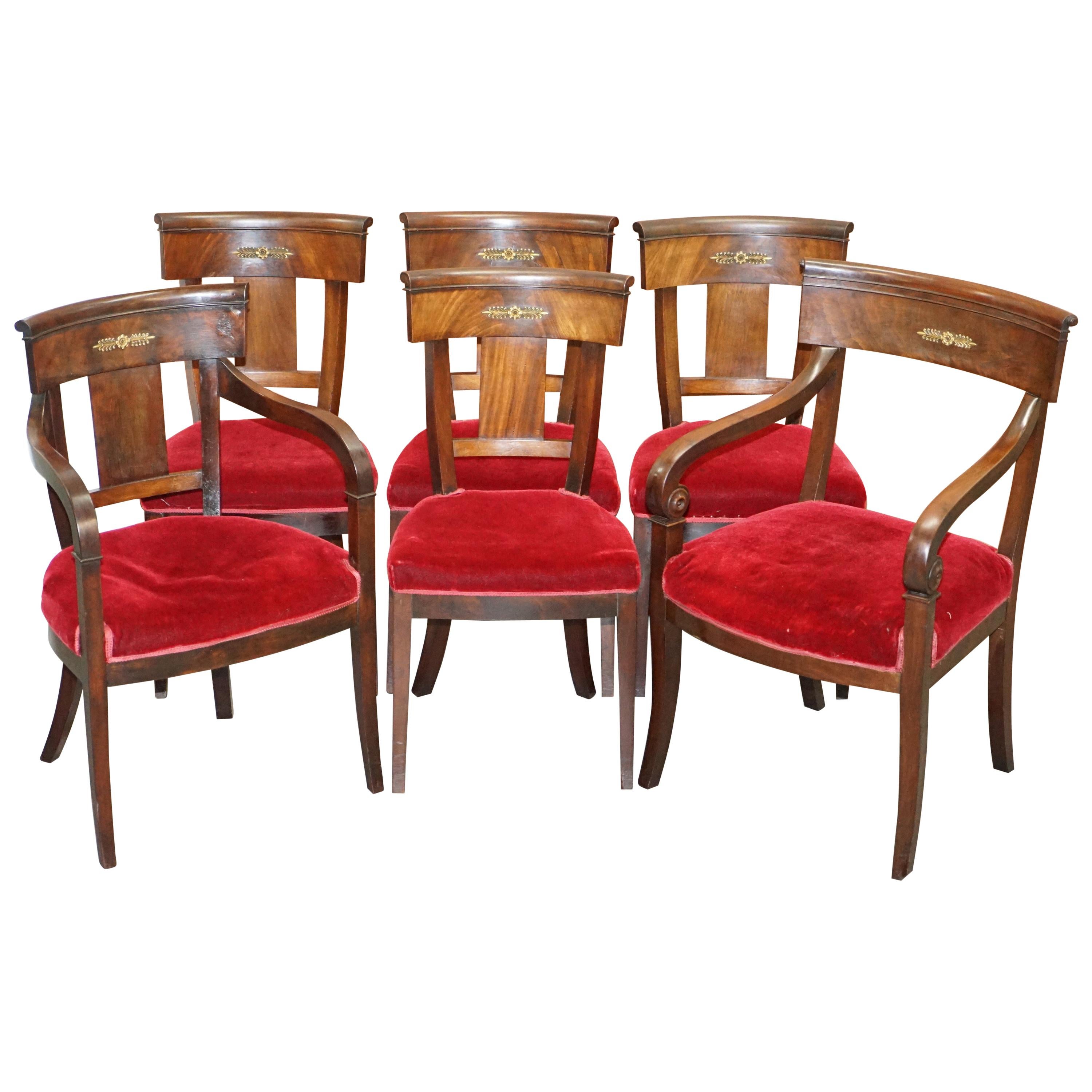 Suite of 6 Napoleon III French Empire Revival Dining Chairs Hardwood and Bronze