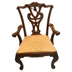 Dining Room Chairs